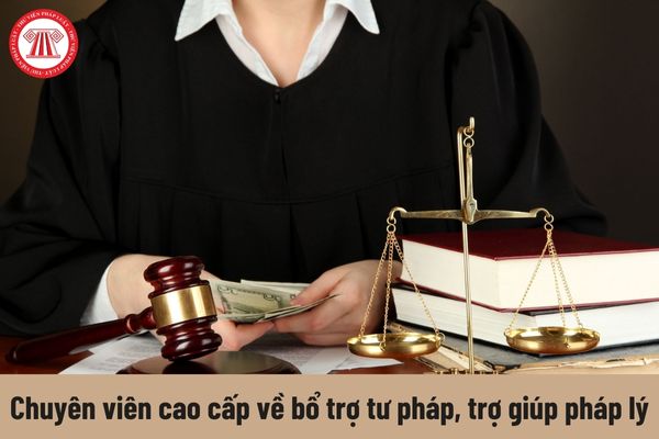 Chuyên viên cao cấp về bổ trợ tư pháp, trợ giúp pháp lý có những quyền gì?