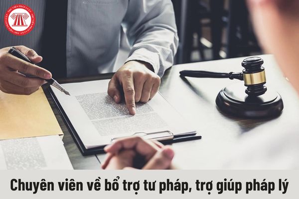 Chuyên viên về bổ trợ tư pháp, trợ giúp pháp lý phải đáp ứng yêu cầu về năng lực như thế nào?