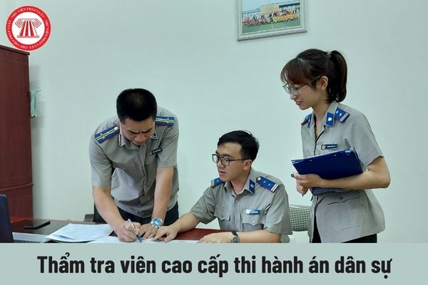 Quyền của người giữ chức vụ Thẩm tra viên cao cấp thi hành án dân sự hiện nay là gì?