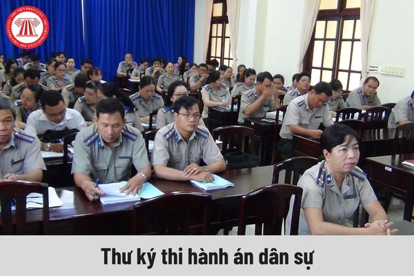 Yêu cầu về trình độ của người giữ chức vụ Thư ký thi hành án dân sự là gì?