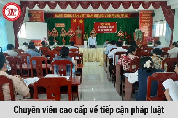 Quyền của người giữ chức vụ Chuyên viên cao cấp về tiếp cận pháp luật hiện nay là gì?