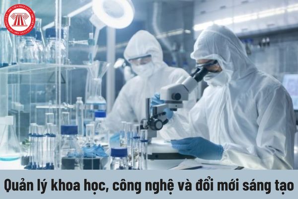 Chuyên viên cao cấp về quản lý khoa học, công nghệ và đổi mới sáng tạo phải thực hiện những công việc gì?