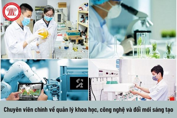 Công việc của Chuyên viên chính về quản lý khoa học, công nghệ và đổi mới sáng tạo phải thực hiện hiện nay là gì?