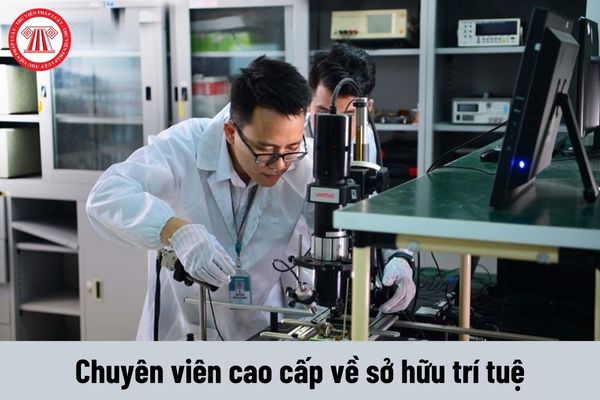 Chuyên viên cao cấp về sở hữu trí tuệ phải đáp ứng yêu cầu về năng lực như thế nào?