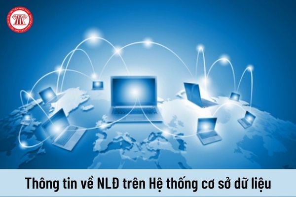 Doanh nghiệp trúng thầu không cập nhật thông tin về người lao động trên Hệ thống cơ sở dữ liệu thì bị xử phạt như thế nào?