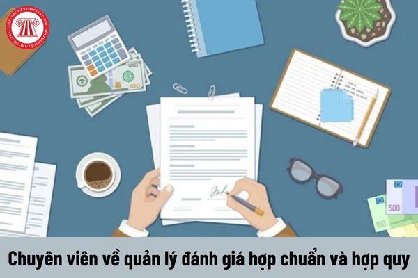 Chuyên viên về quản lý đánh giá hợp chuẩn và hợp quy phải đáp ứng yêu cầu về năng lực như thế nào?