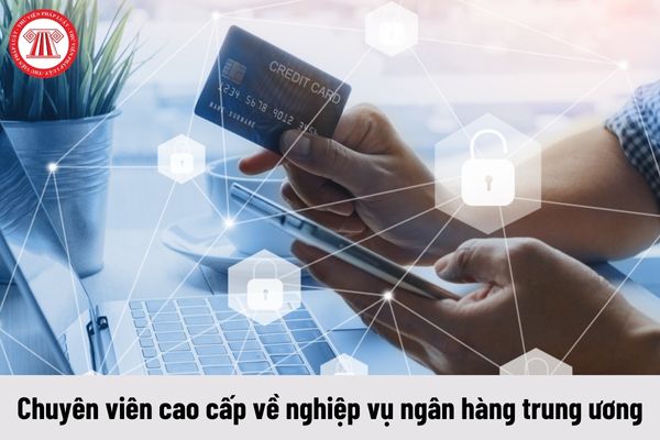 Chuyên viên cao cấp về nghiệp vụ ngân hàng trung ương có những quyền như thế nào?