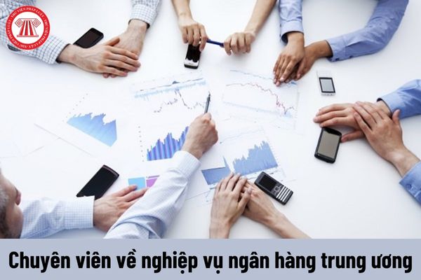 Chuyên viên về nghiệp vụ ngân hàng trung ương phải đáp ứng yêu cầu về năng lực như thế nào?