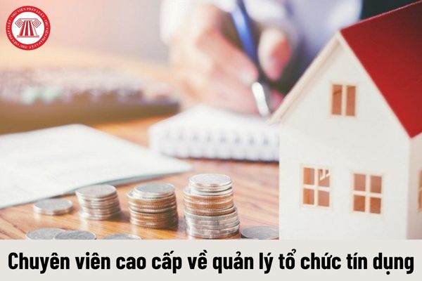 Chuyên viên cao cấp về quản lý tổ chức tín dụng có những quyền như thế nào?