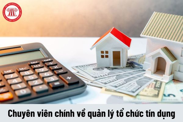 Yêu cầu về năng lực của Chuyên viên chính về quản lý tổ chức tín dụng phải đáp ứng là gì?