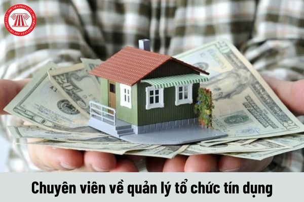 Chuyên viên về quản lý tổ chức tín dụng phải đáp ứng yêu cầu về năng lực như thế nào?