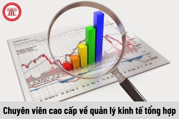 Nhiệm vụ của Chuyên viên cao cấp về quản lý kinh tế tổng hợp phải thực hiện là gì?