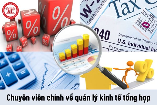 Chuyên viên chính về quản lý kinh tế tổng hợp phải thực hiện những nhiệm vụ như thế nào?