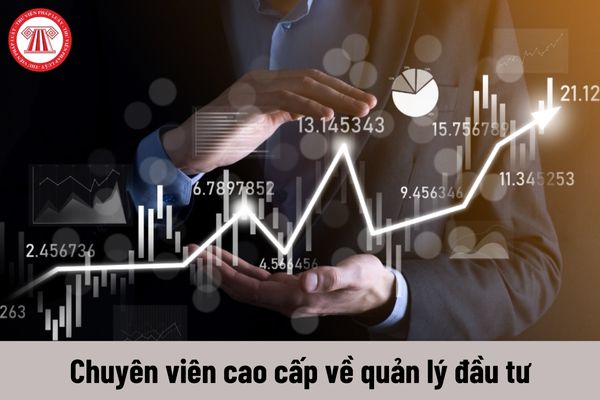 Quyền của người giữ chức vụ Chuyên viên cao cấp về quản lý đầu tư là gì?