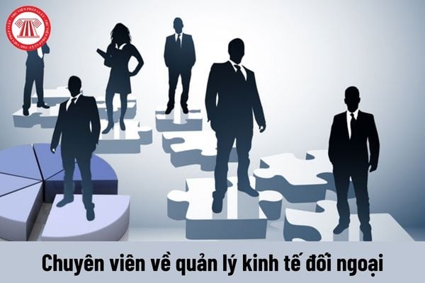 Chuyên viên về quản lý kinh tế đối ngoại phải thực hiện những nhiệm vụ như thế nào?