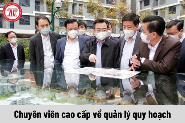 Quyền của Chuyên viên cao cấp về quản lý quy hoạch hiện nay là như thế nào?