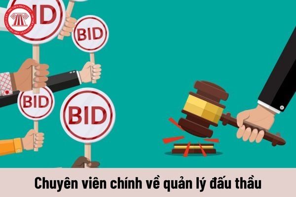 Nhiệm vụ của Chuyên viên chính về quản lý đấu thầu phải thực hiện hiện nay là gì?