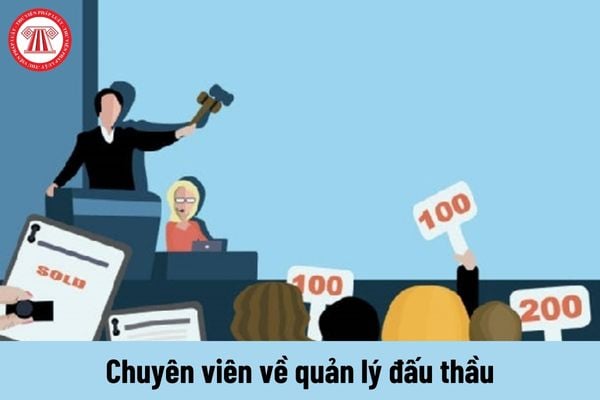 Chuyên viên về quản lý đấu thầu phải thực hiện những nhiệm vụ như thế nào?