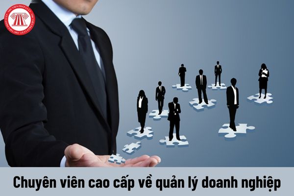 Quyền của người giữ chức vụ Chuyên viên cao cấp về quản lý doanh nghiệp hiện nay là gì?