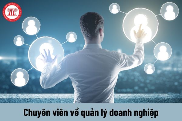 Chuyên viên về quản lý doanh nghiệp phải đáp ứng yêu cầu về năng lực như thế nào?