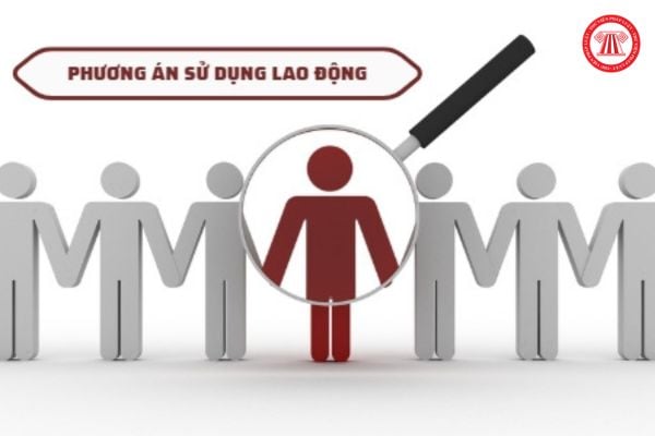 Lập phương án sử dụng lao động khi chuyển đổi loại hình doanh nghiệp có cần trao đổi ý kiến với tổ chức đại diện người lao động tại cơ sở không?