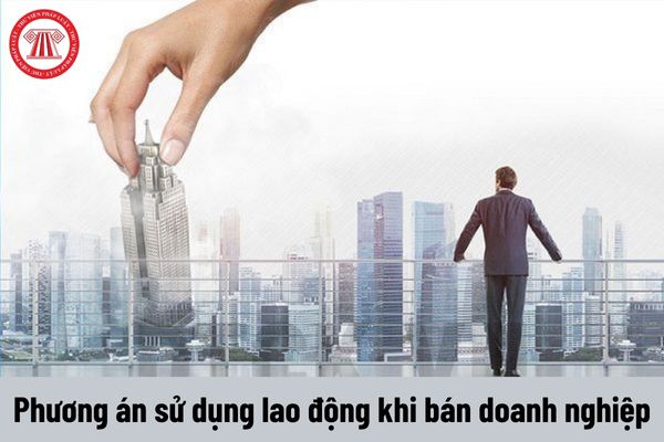 Bán doanh nghiệp thì có phải cho người lao động biết về phương án sử dụng lao động đã được thông qua?