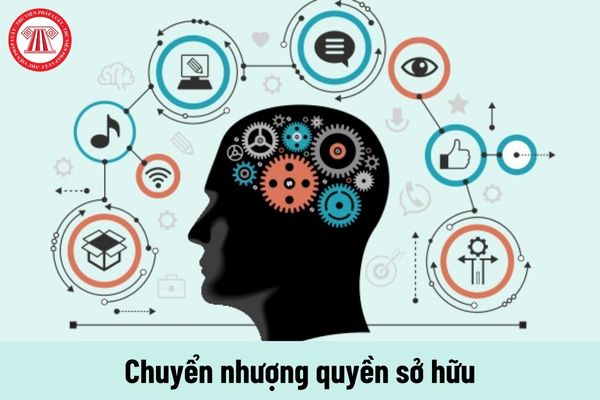 Chuyển nhượng quyền sở hữu thì có phải cho người lao động biết về phương án sử dụng lao động đã được thông qua?