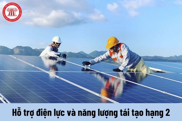 Yêu cầu về năng lực của Viên chức hỗ trợ điện lực và năng lượng tái tạo hạng 2 phải đáp ứng là gì?