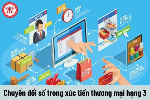 Viên chức chuyển đổi số trong xúc tiến thương mại hạng 3 phải đáp ứng yêu cầu về trình độ như thế nào?