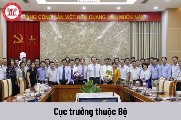 Cục trưởng thuộc Bộ được nhận mức phụ cấp chức vụ lãnh đạo là bao nhiêu?