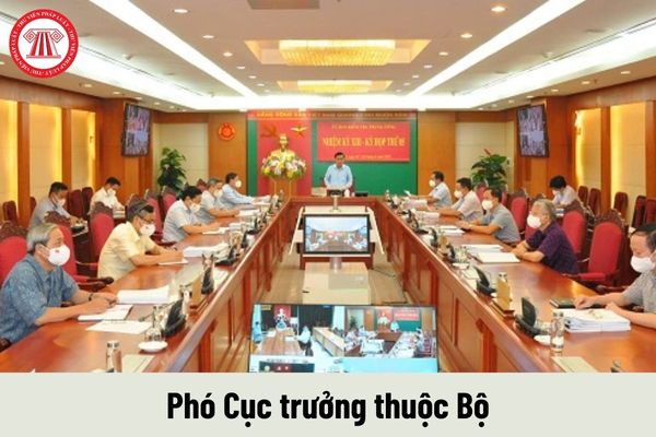 Mức phụ cấp chức vụ lãnh đạo của Phó Cục trưởng thuộc Bộ được nhận là bao nhiêu?