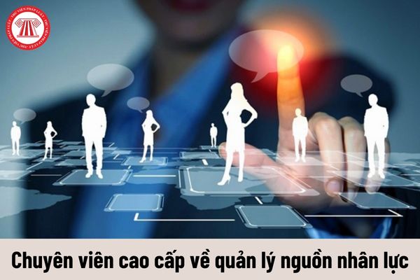 Yêu cầu về năng lực của Chuyên viên cao cấp về quản lý nguồn nhân lực phải đáp ứng là gì?