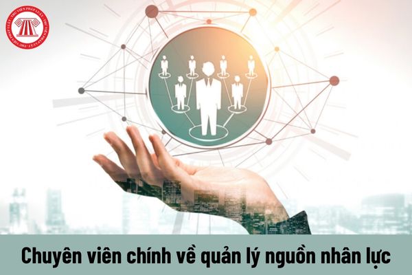 Chuyên viên chính về quản lý nguồn nhân lực phải đáp ứng yêu cầu về năng lực như thế nào?