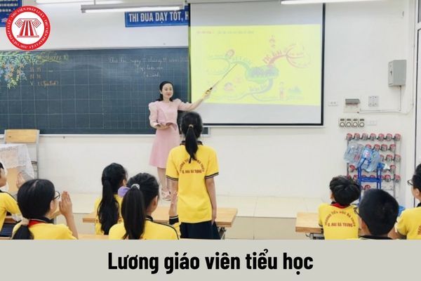 Lương giáo viên tiểu học từ 1/7/2024 khi cải cách tiền lương theo Nghị quyết 27 được tính như thế nào?