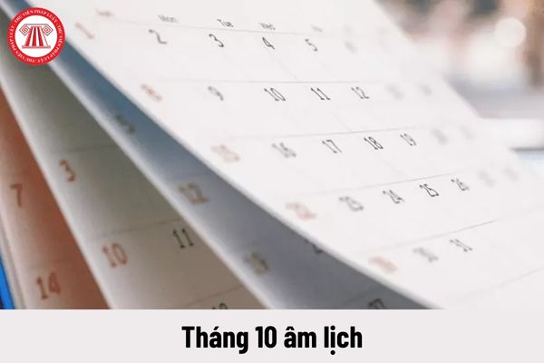 Tháng 10 âm lịch 2023 bắt đầu từ ngày nào? Người lao động được nghỉ những ngày lễ nào trong tháng 10 âm lịch?