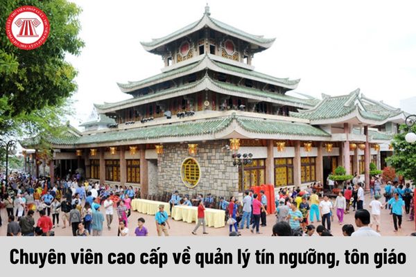 Chuyên viên cao cấp về quản lý tín ngưỡng, tôn giáo phải đáp ứng yêu cầu về năng lực ra sao?