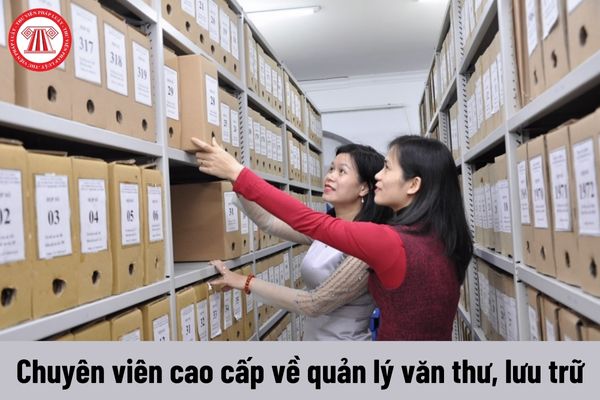 Chuyên viên cao cấp về quản lý văn thư, lưu trữ có nhiệm vụ hiện nay là gì?