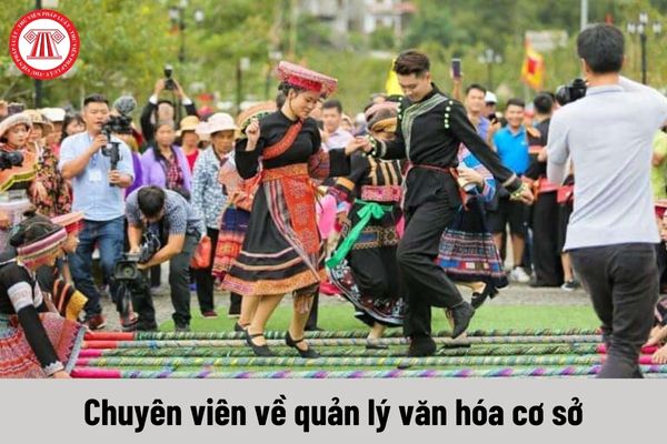 Chuyên viên về quản lý văn hóa cơ sở phải đáp ứng yêu cầu về năng lực như thế nào?