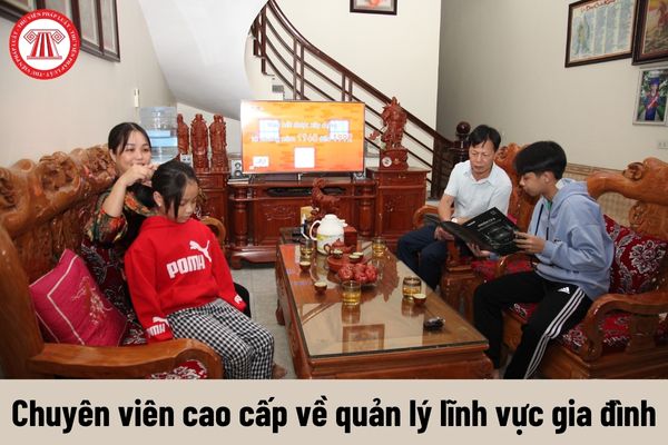 Yêu cầu về trình độ của Chuyên viên cao cấp về quản lý lĩnh vực gia đình phải đáp ứng là gì?