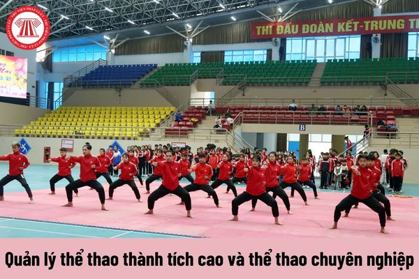 Nhiệm vụ của Chuyên viên cao cấp về quản lý thể thao thành tích cao và thể thao chuyên nghiệp là gì?