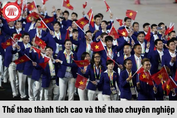 Chuyên viên chính về quản lý thể thao thành tích cao và thể thao chuyên nghiệp phải thực hiện những nhiệm vụ nào?