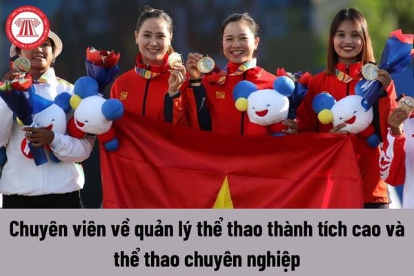 Chuyên viên về quản lý thể thao thành tích cao và thể thao chuyên nghiệp có những quyền nào?