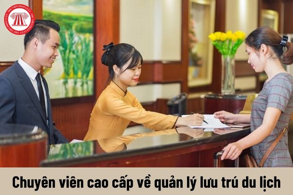 Yêu cầu về năng lực của Chuyên viên cao cấp về quản lý lưu trú du lịch hiện nay là gì?