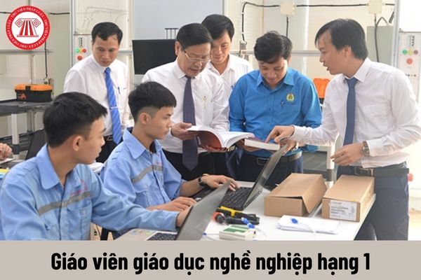 Giáo viên giáo dục nghề nghiệp hạng 1 phải đáp ứng yêu cầu về trình độ ra sao?