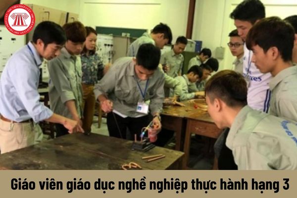 Nhiệm vụ của Giáo viên giáo dục nghề nghiệp thực hành hạng 3 hiện nay là gì?