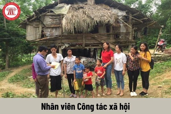 Nhân viên Công tác xã hội phải đáp ứng yêu cầu về trình độ như thế nào?