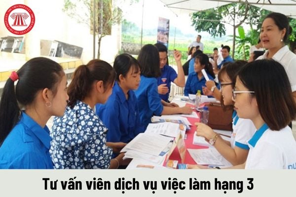 Tư vấn viên dịch vụ việc làm hạng 3 phải thực hiện những công việc như thế nào?