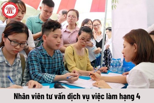 Nhiệm vụ của Nhân viên tư vấn dịch vụ việc làm hạng 4 là gì?