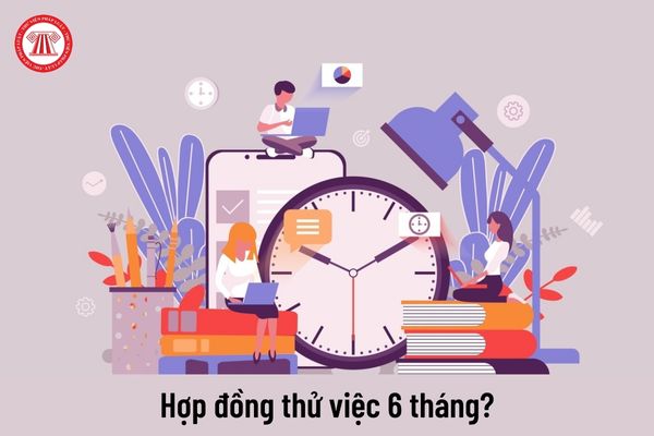 Hợp đồng thử việc 6 tháng đối với những công việc nào?