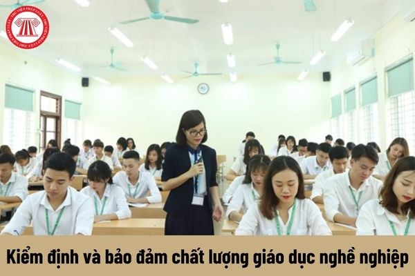 Chuyên viên cao cấp về kiểm định và bảo đảm chất lượng giáo dục nghề nghiệp có nhiệm vụ gì?